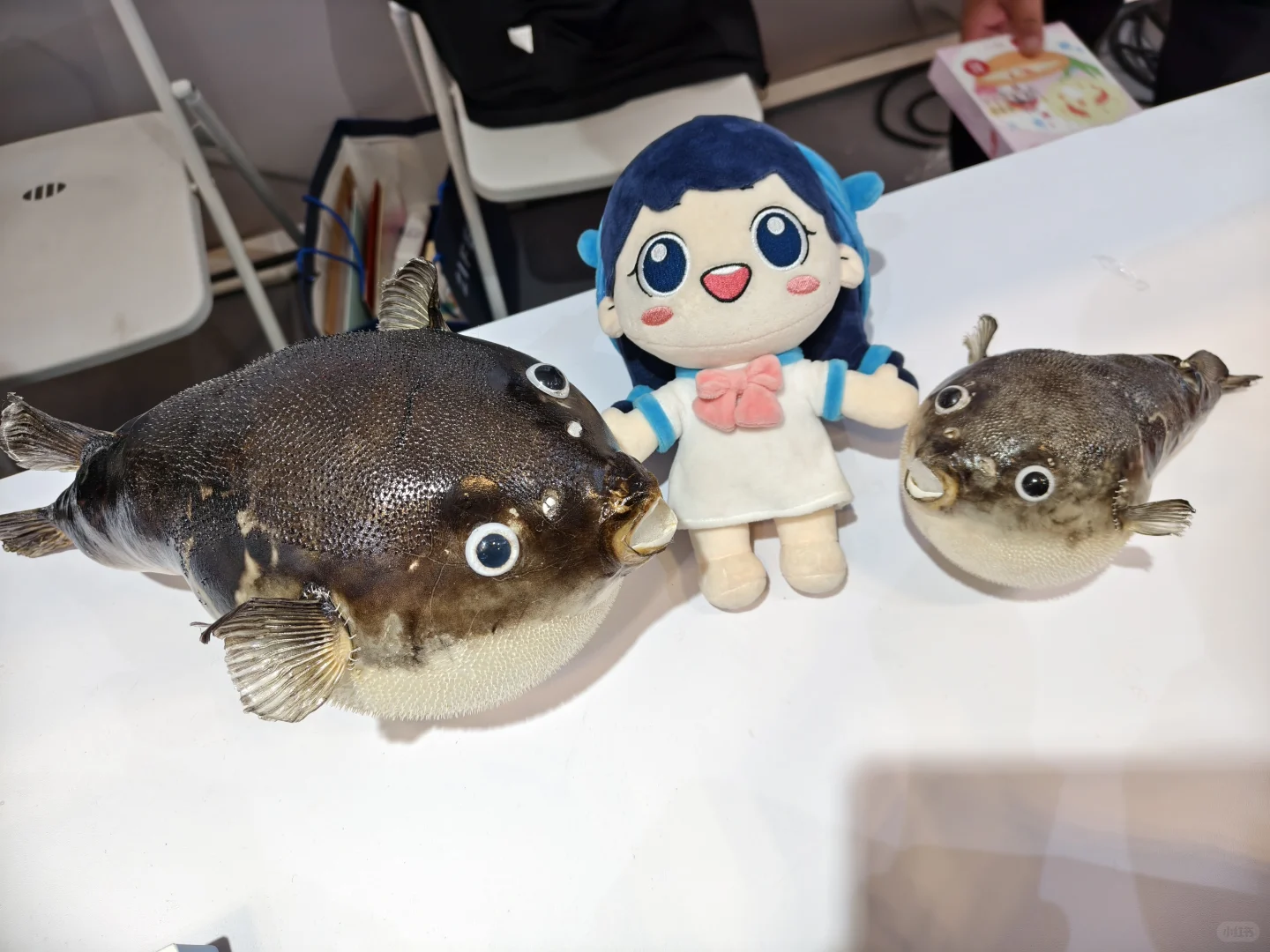 第22届中国国际农产品交易会