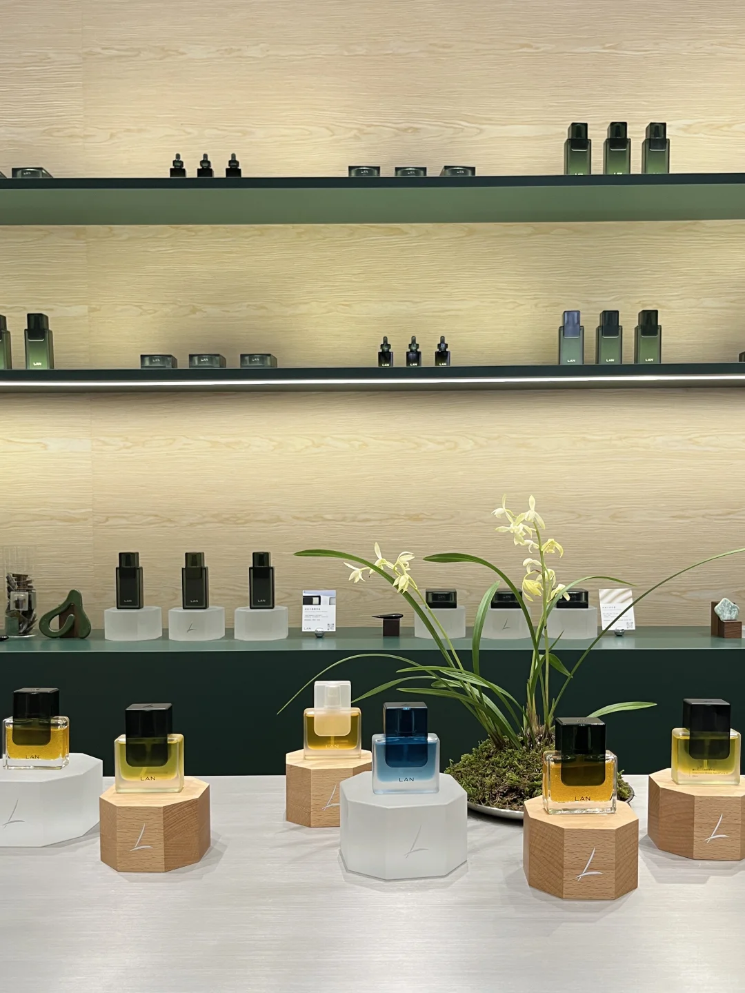 今天在上海西岸展会有10w人‼️