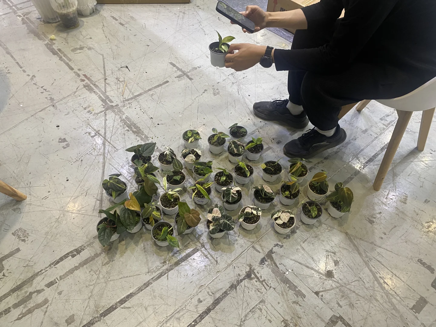 无锡热植展 一边拆箱一边买买买了