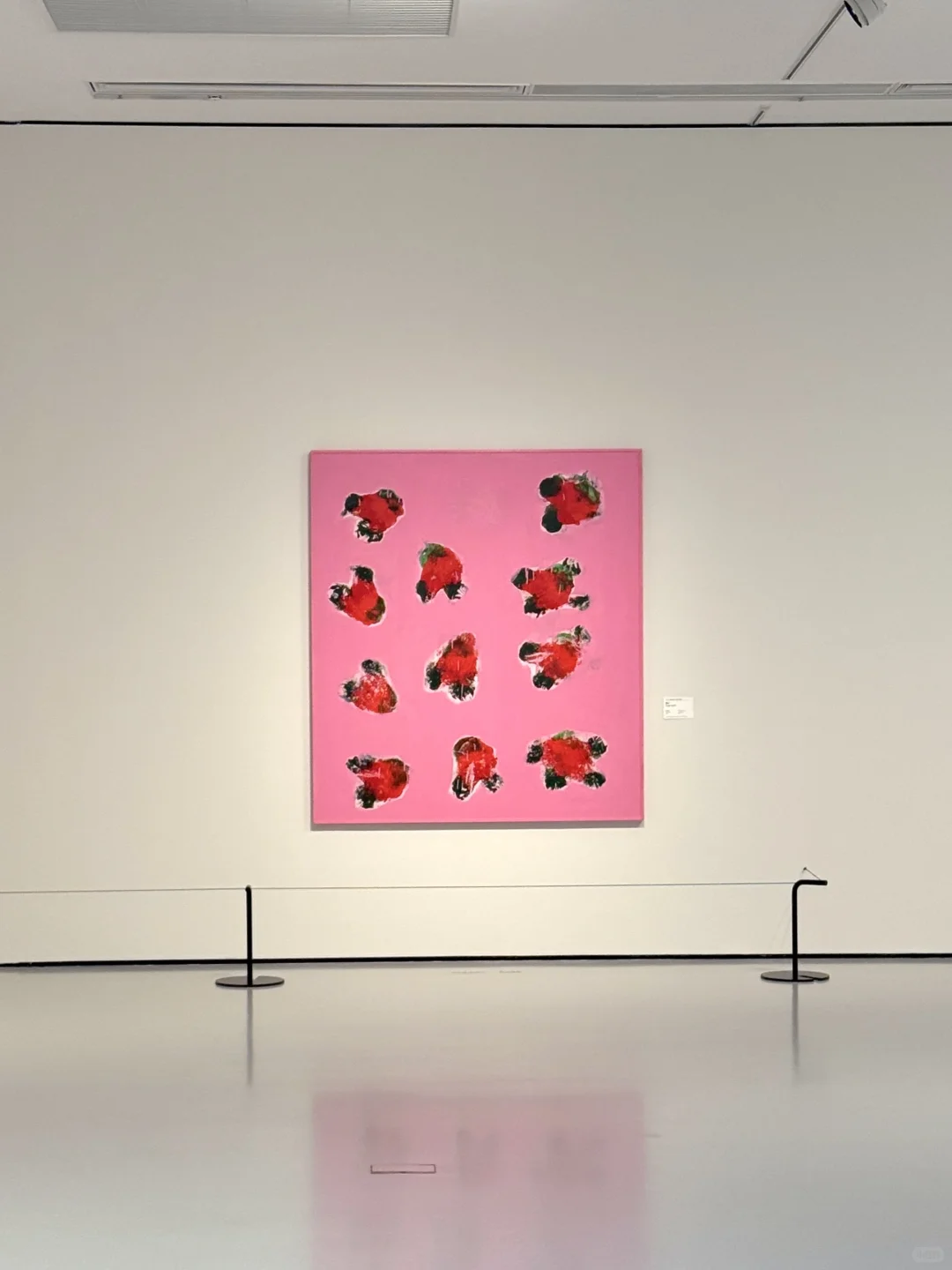 广州白鹅潭|看展日?ೃ࿔