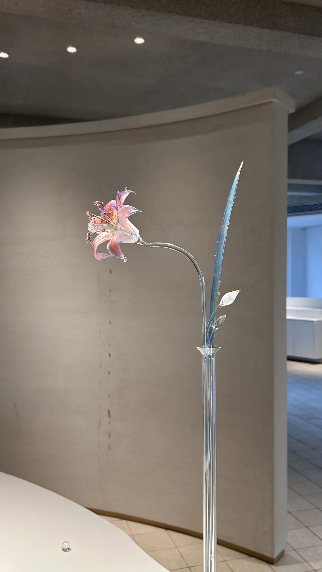 杭州这么美的展居然免费！加入审美累积列表…