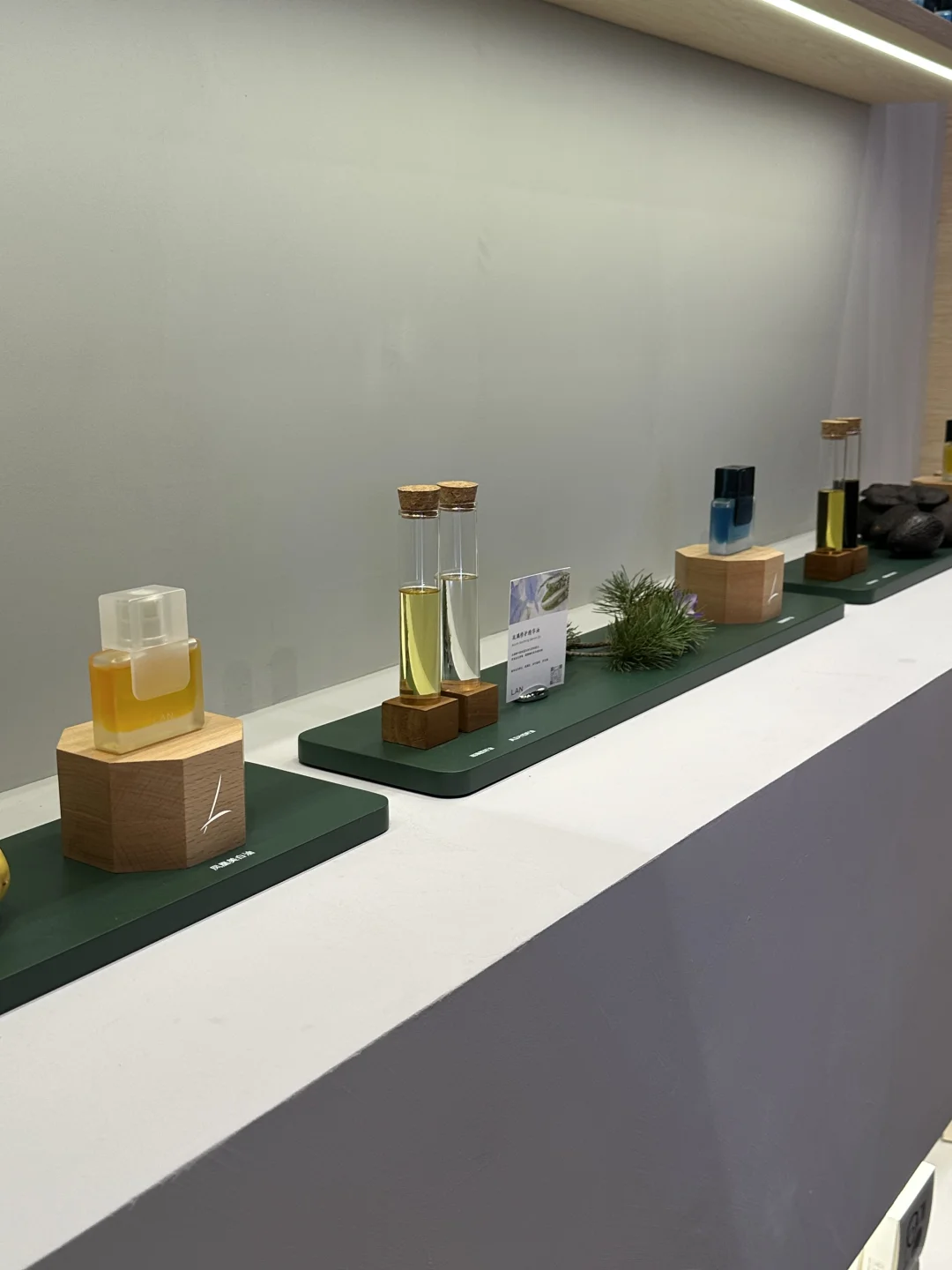 今天在上海西岸展会有10w人‼️