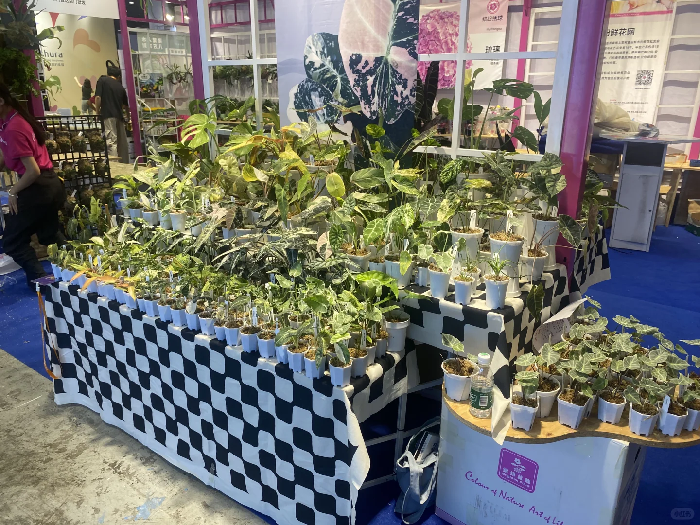 无锡热植展 一边拆箱一边买买买了