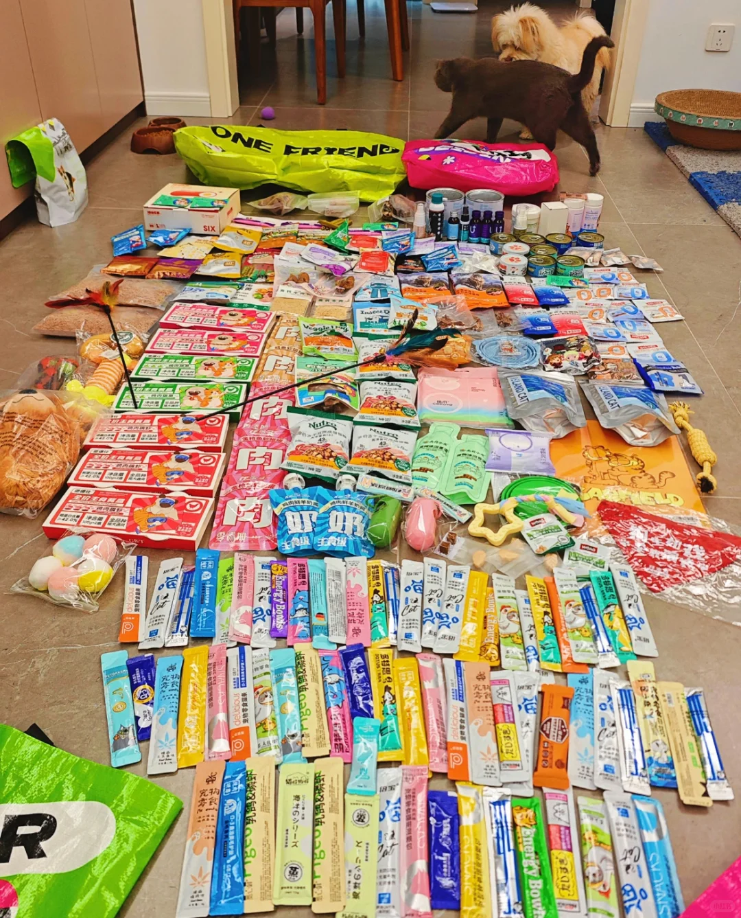 北京铲屎官必看！有宠生活展超强攻略?