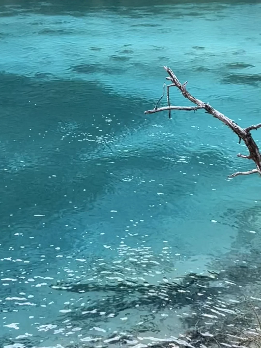 适合交易的几个地方