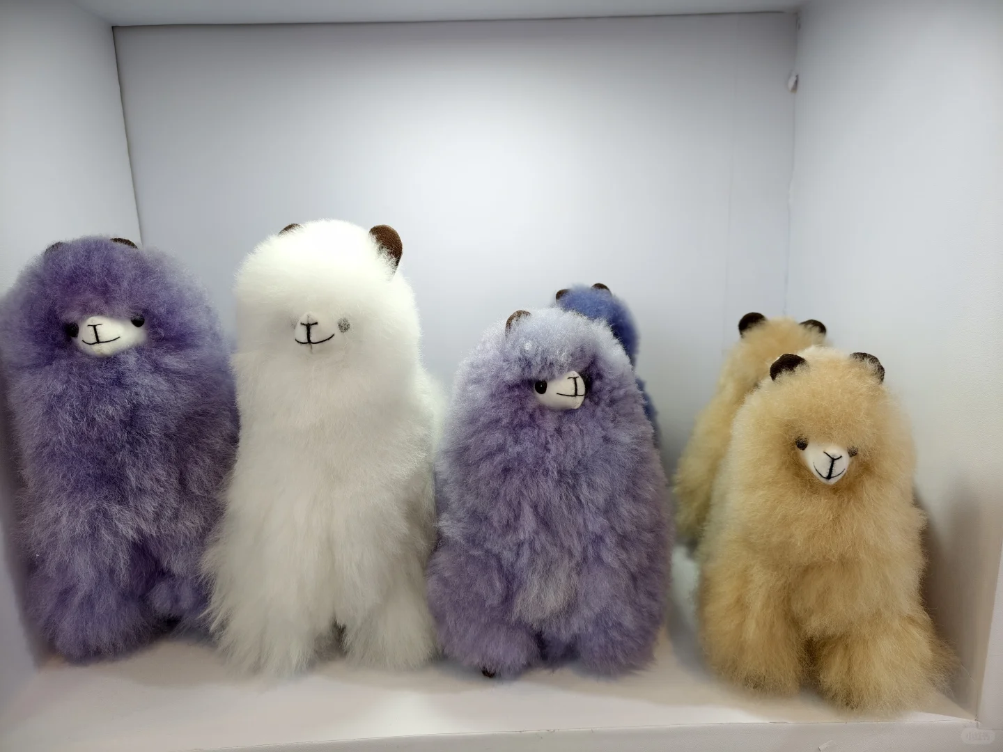 第22届中国国际农产品交易会