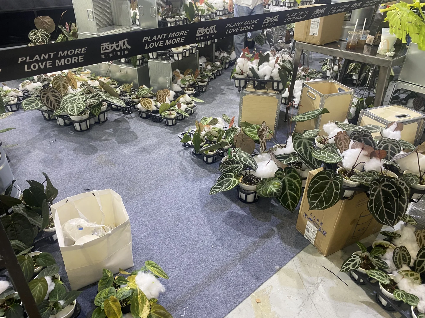 无锡热植展 一边拆箱一边买买买了