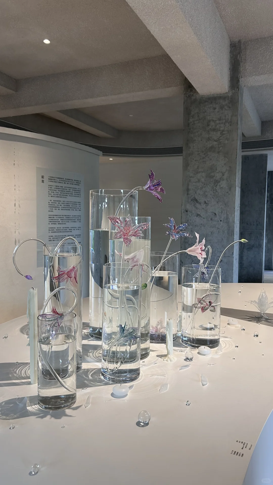 杭州这么美的展居然免费！加入审美累积列表…