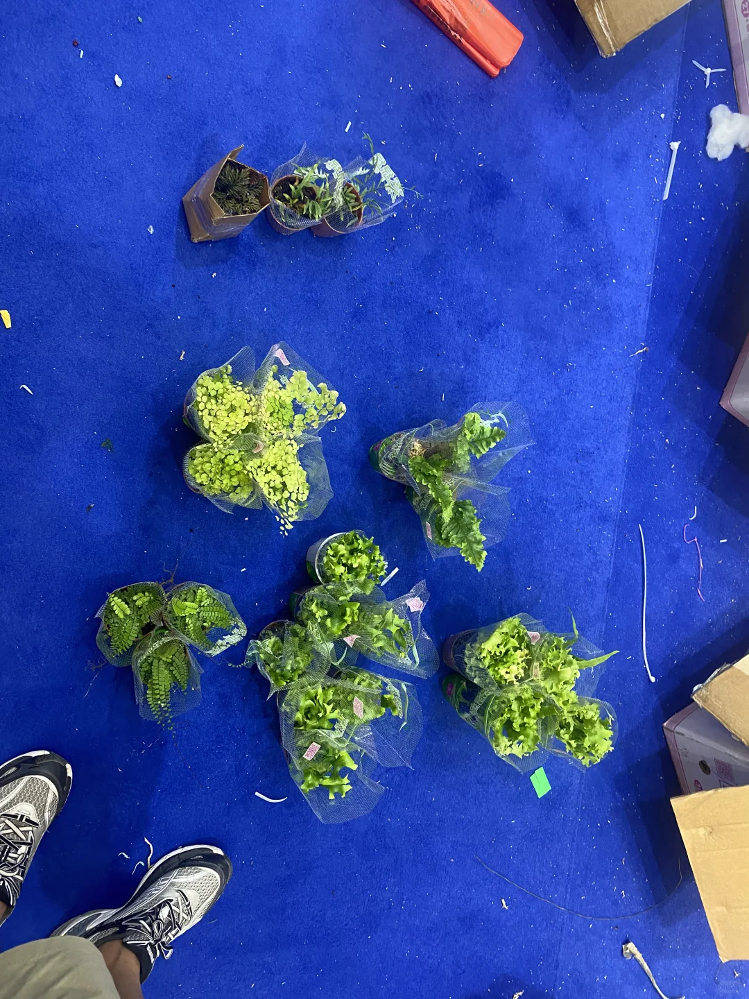 无锡热植展 一边拆箱一边买买买了