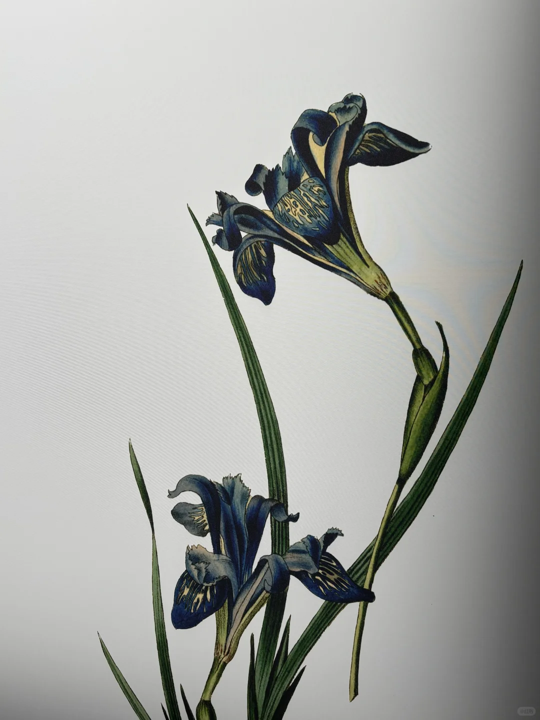 Giada 2025FW静态展，好美好适合