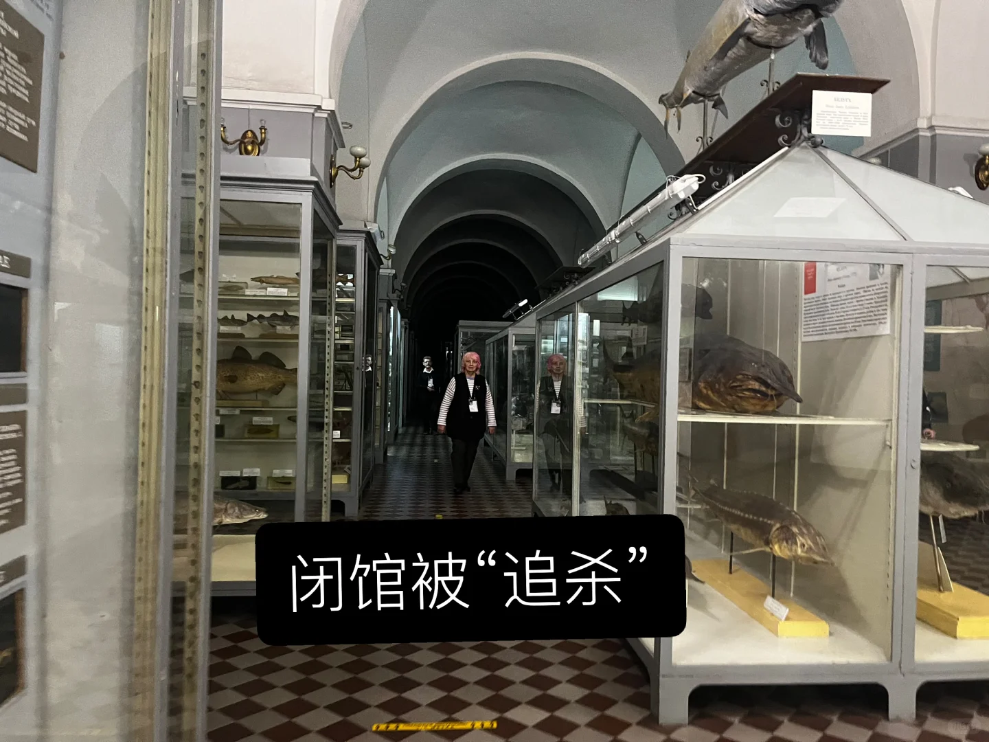 ??动物学博物馆奇妙夜