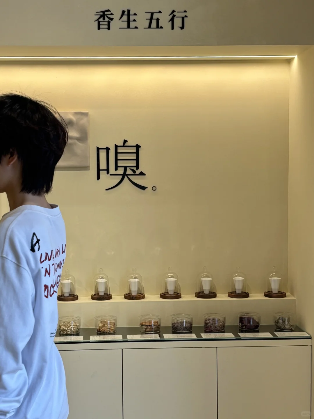 大连首家！！大连首家！！太超前了….