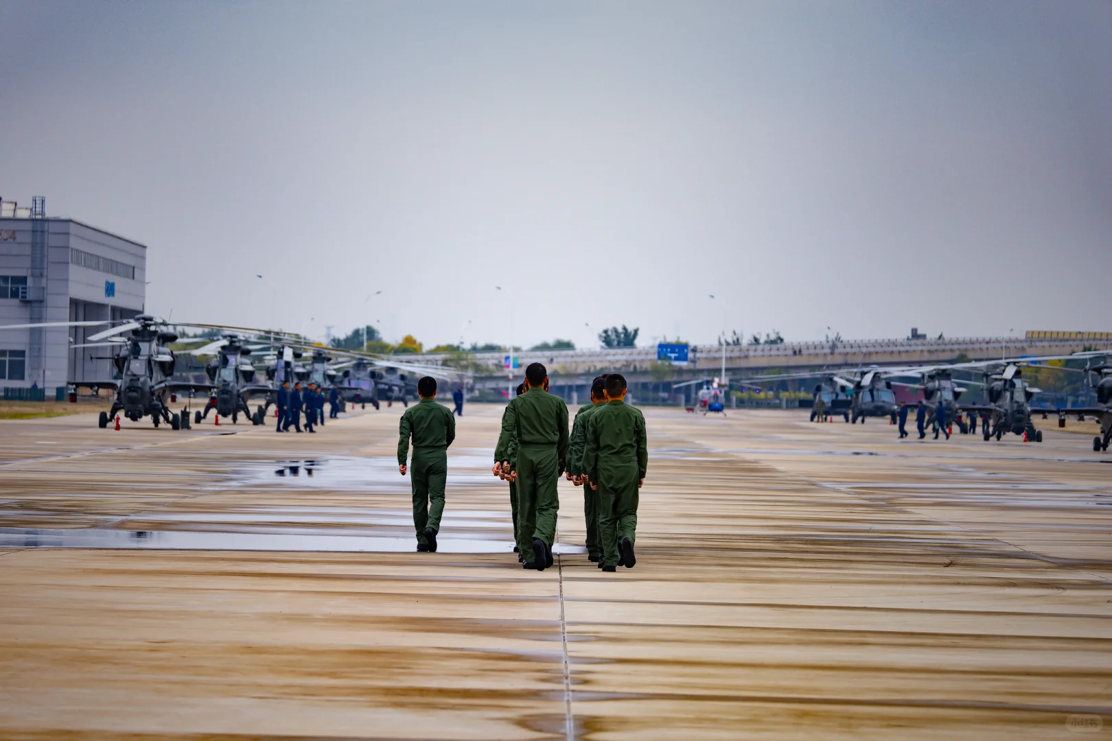 关于天津直博会的一些经验