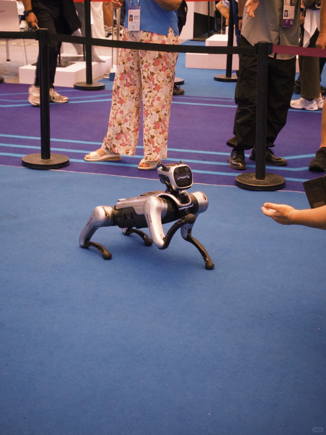 广交会第一期翻译！