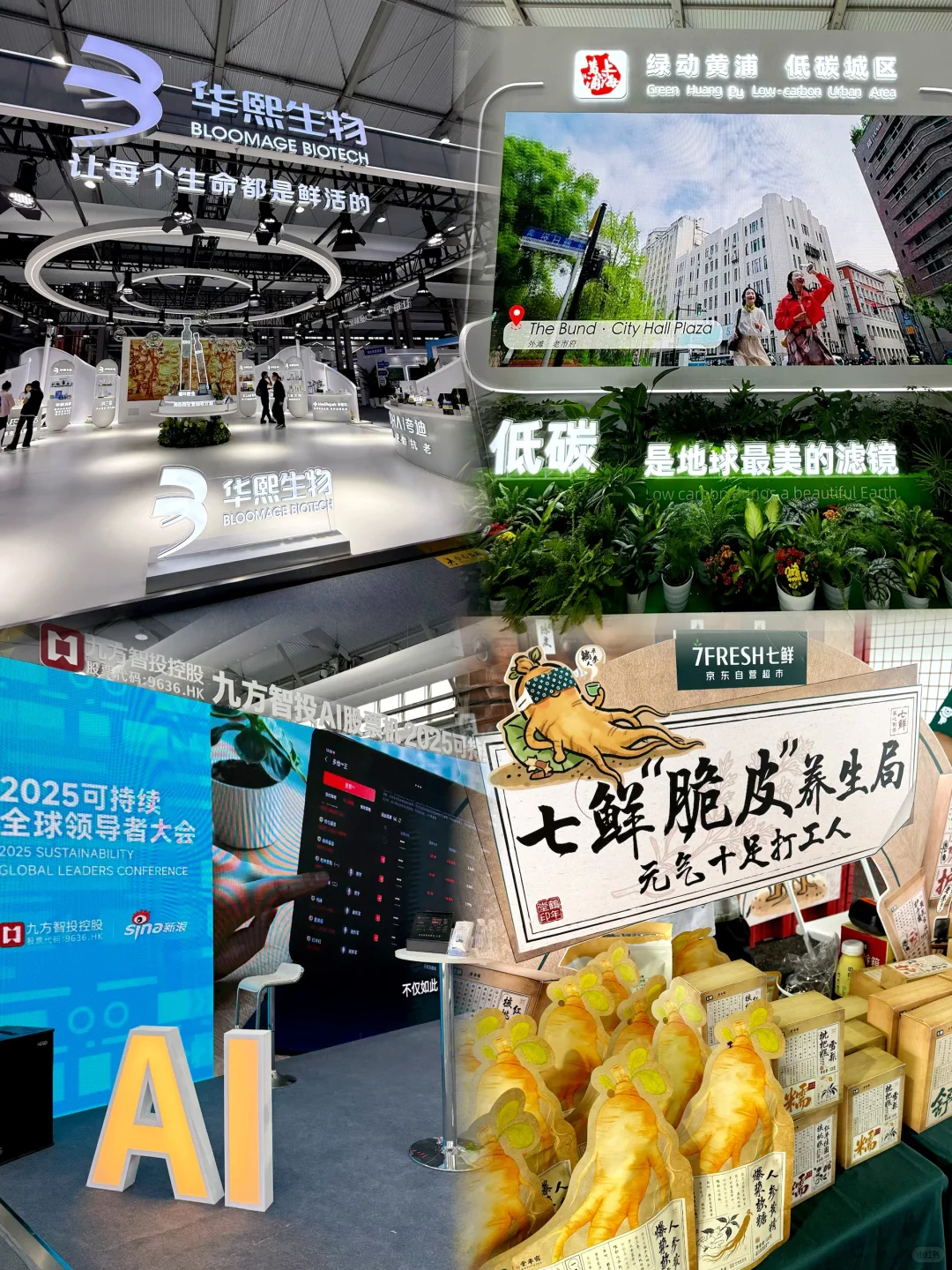 上海大动作!2025可持续大会?逛!(附攻略)