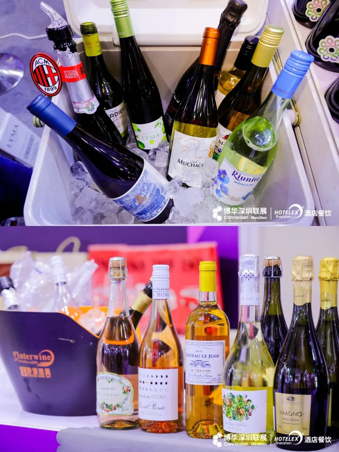 华南巅峰盛会 锁定HOTELEX深圳展