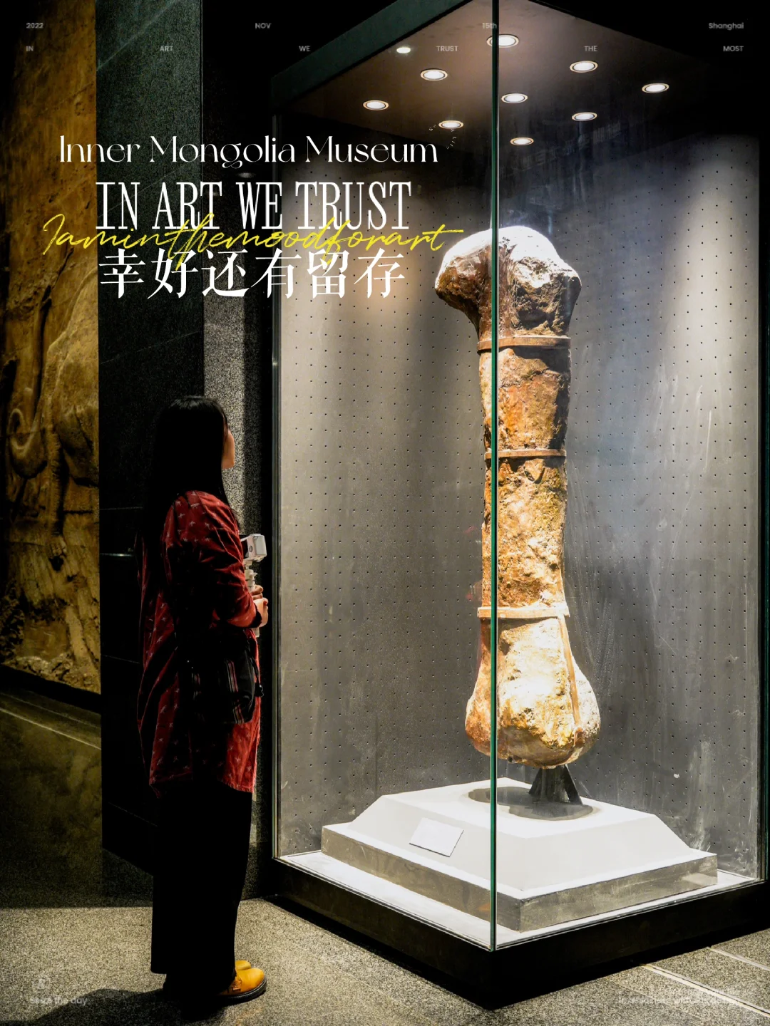 这些是镇馆之宝不容错过|呼市内蒙古博物院