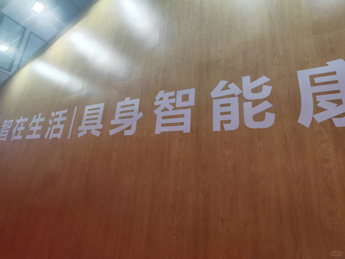 生医工硕谈一谈WRC—具身康复