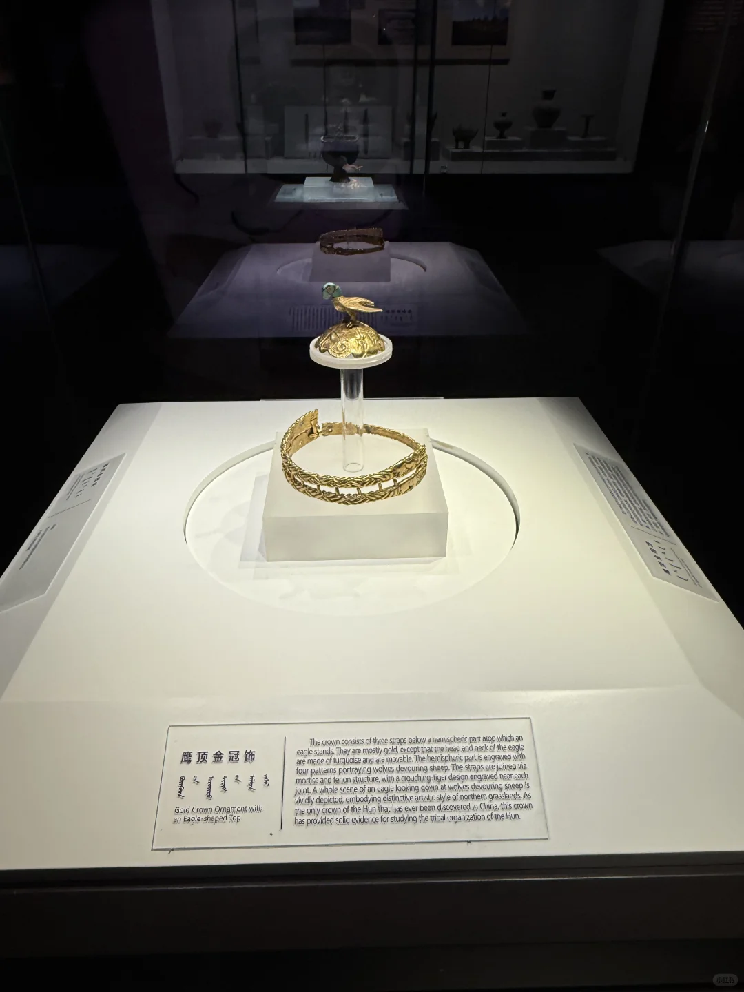 博物馆陪同口译