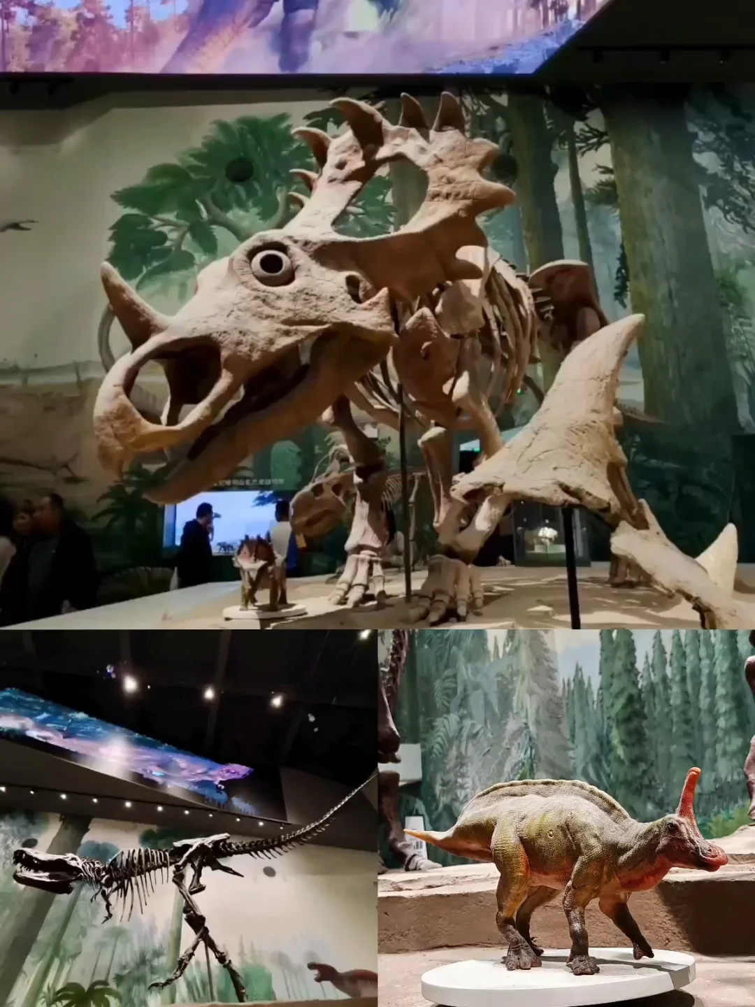 冒雨去山博,果然没白去!内容丰富好好逛!