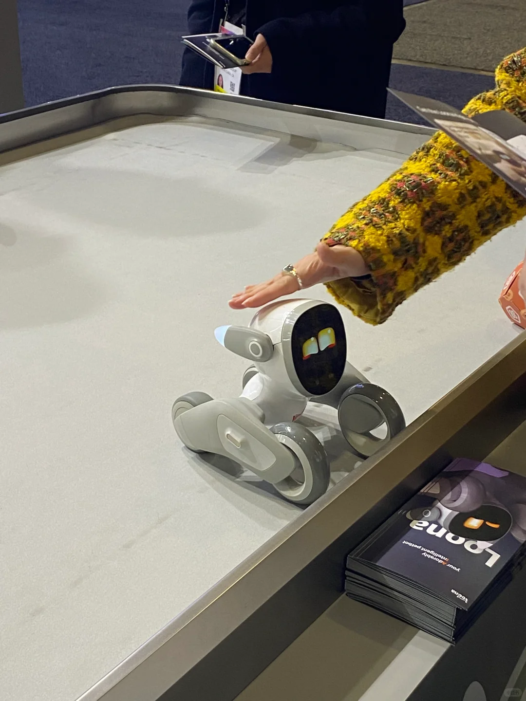 北美拉斯维加斯｜2025 CES消费电子展