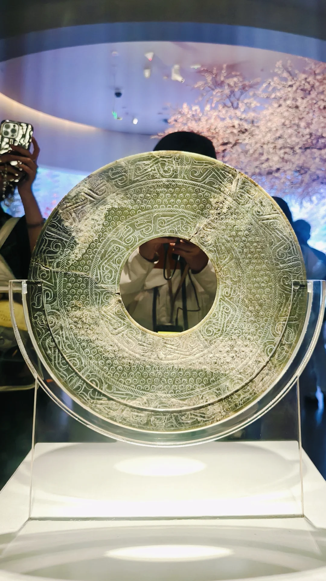 冒雨去山博,果然没白去!内容丰富好好逛!