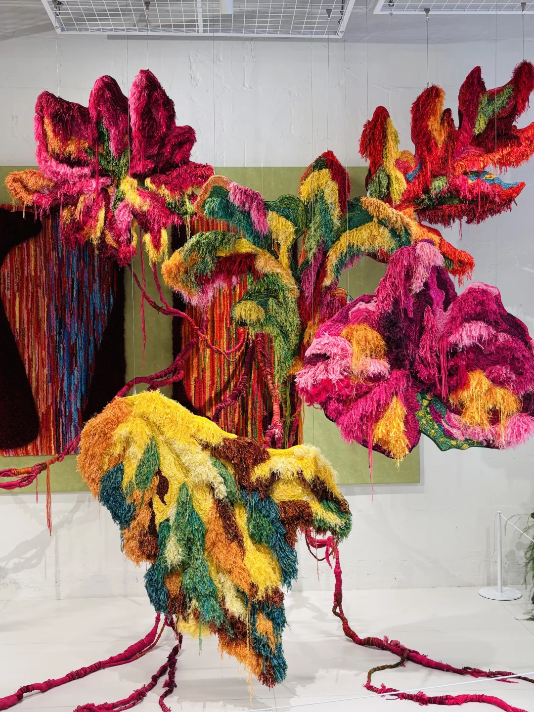 牛马的合影啦（重生之我在上海免费看展）