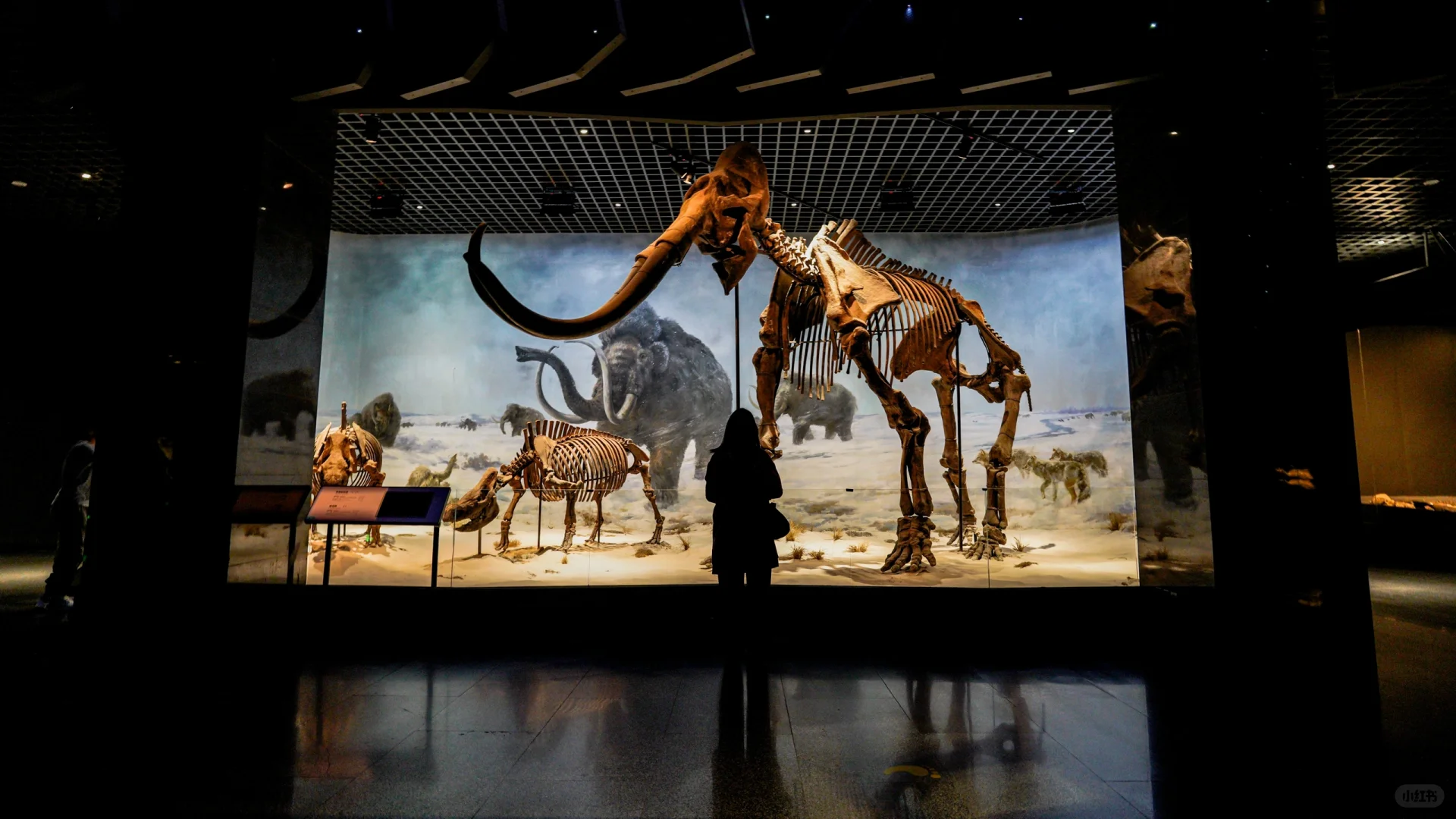 这些是镇馆之宝不容错过|呼市内蒙古博物院