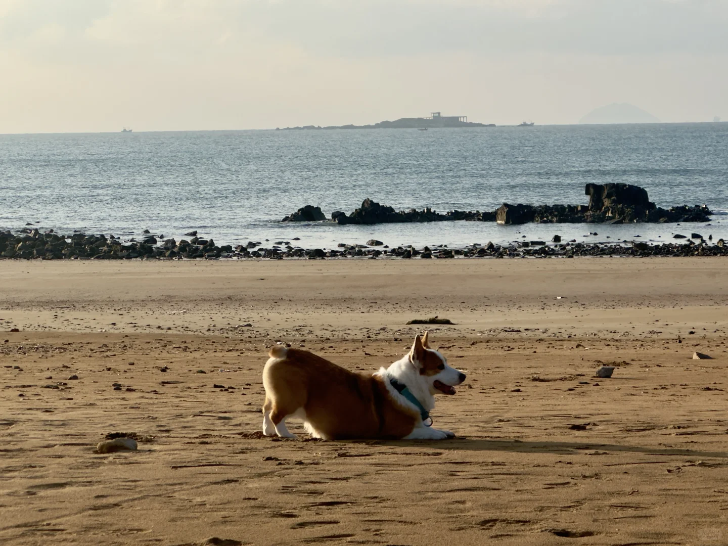 回首碧海相逢处 涛声依旧