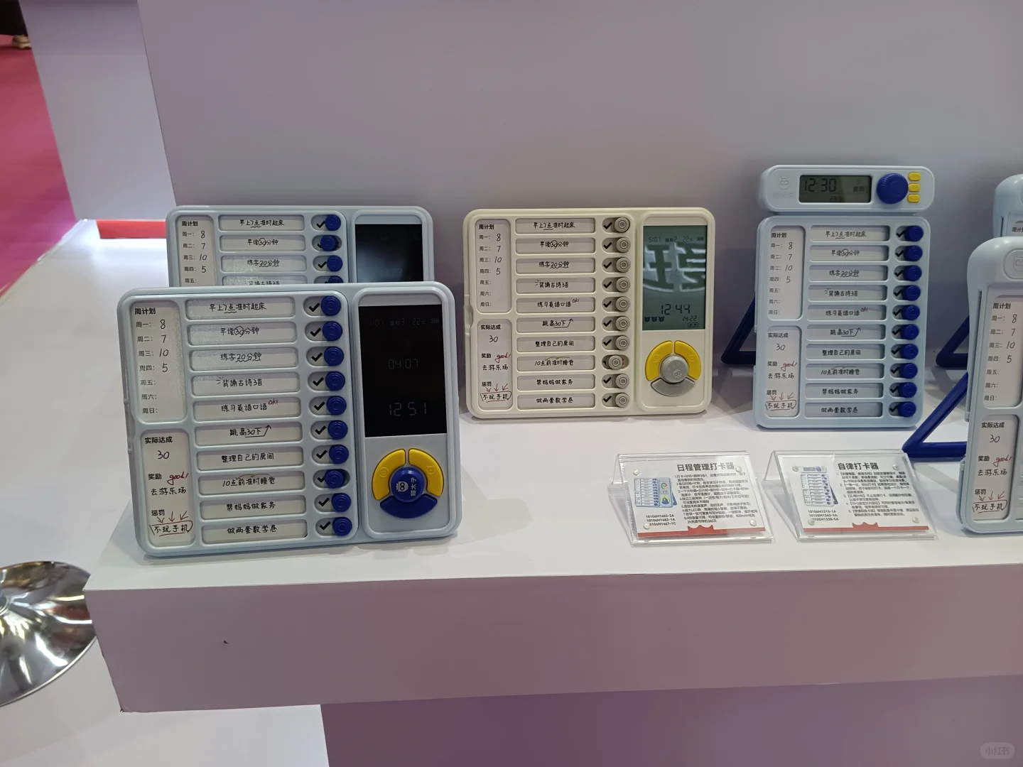 猫太子成长王国