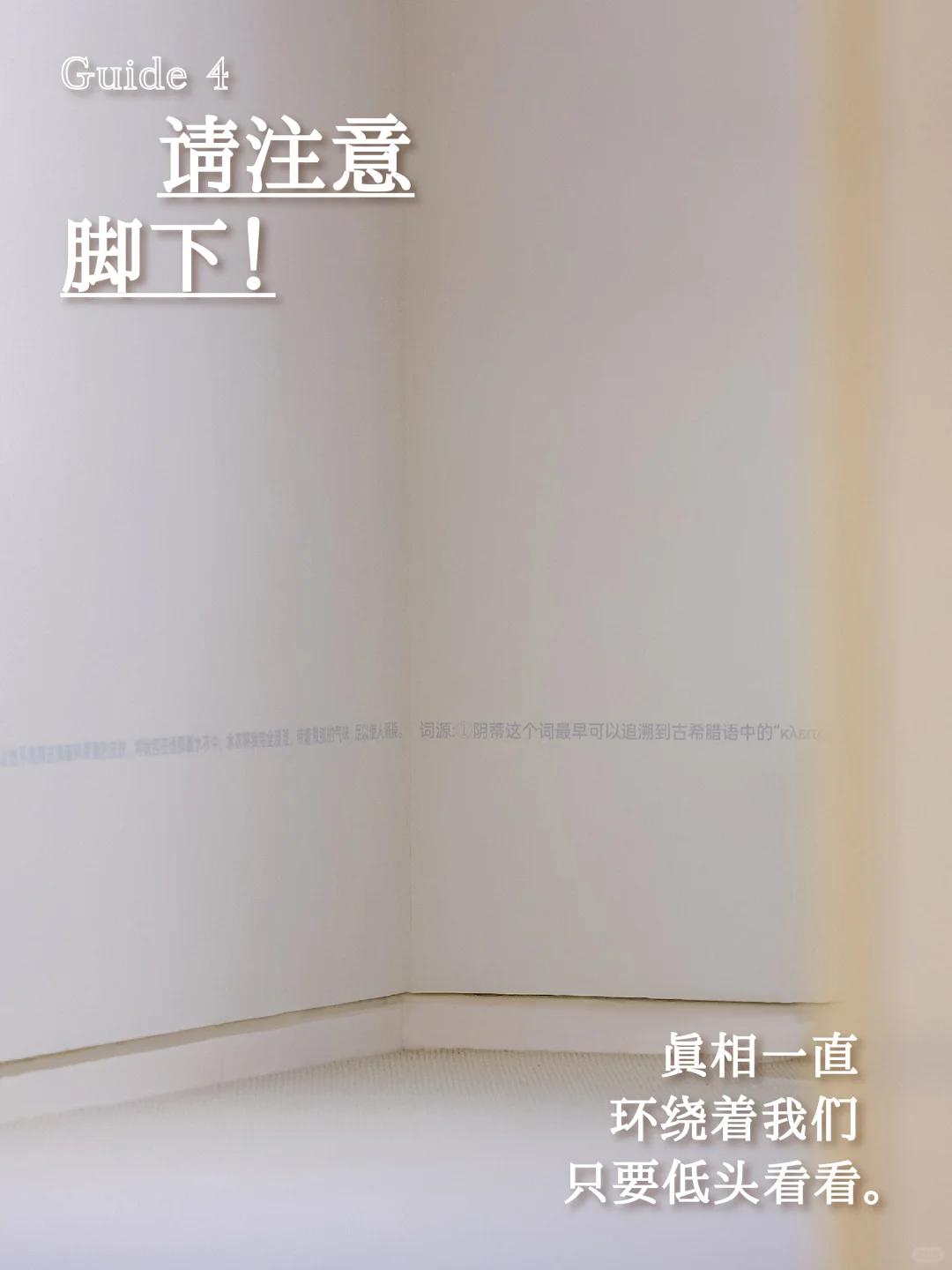 游览指南丨我们去性博物馆开展啦！