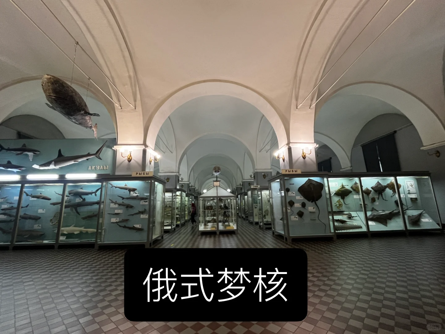 ??动物学博物馆奇妙夜