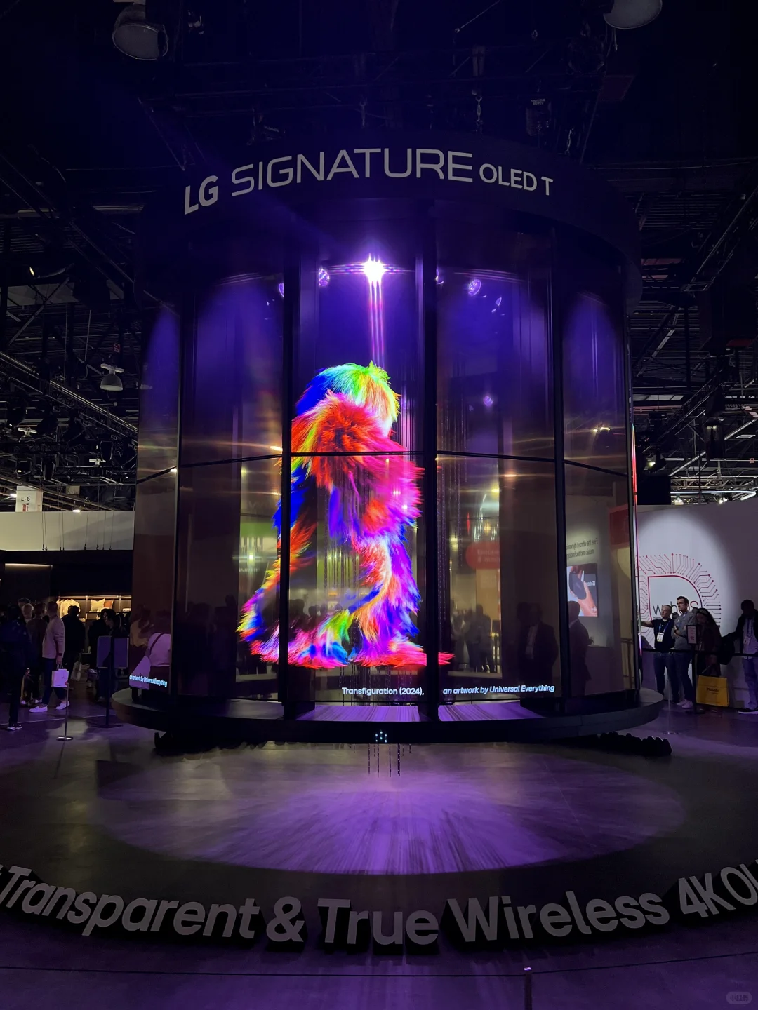 CES 2025消费电子展 看到很多中国品牌