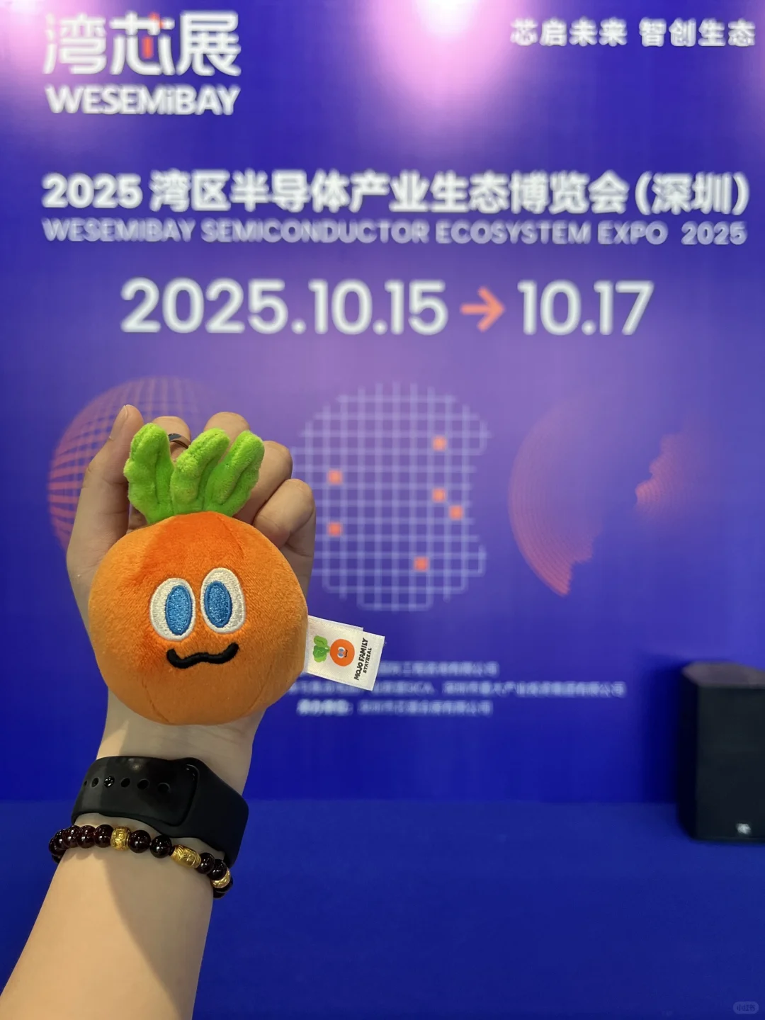 带卜卜?打卡各大展会之湾芯会?