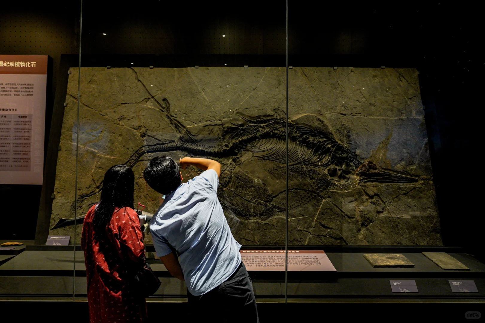 这些是镇馆之宝不容错过|呼市内蒙古博物院