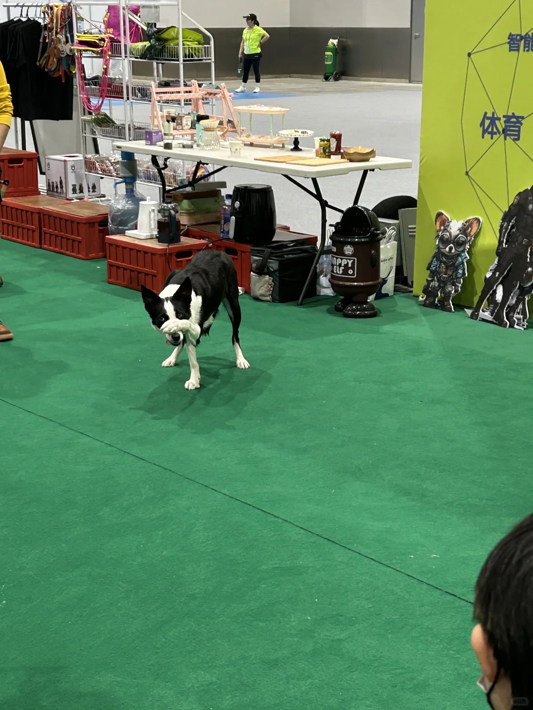 人大✖️冬博会｜见人不如见雪