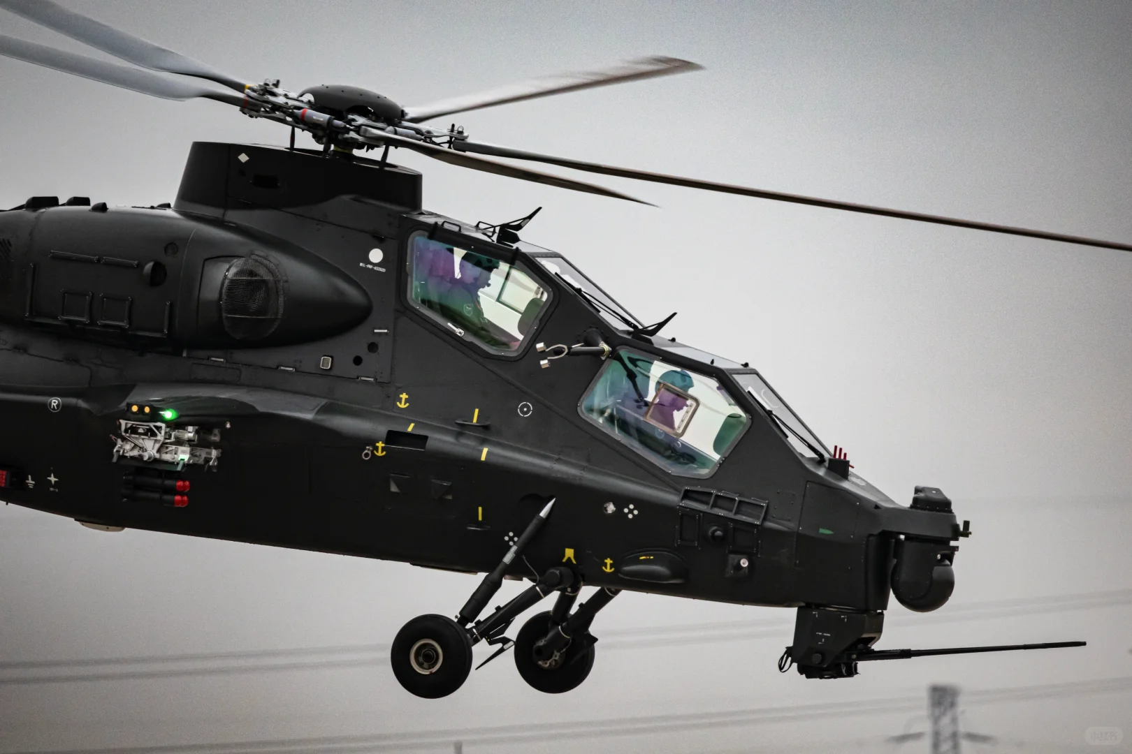 关于天津直博会的一些经验