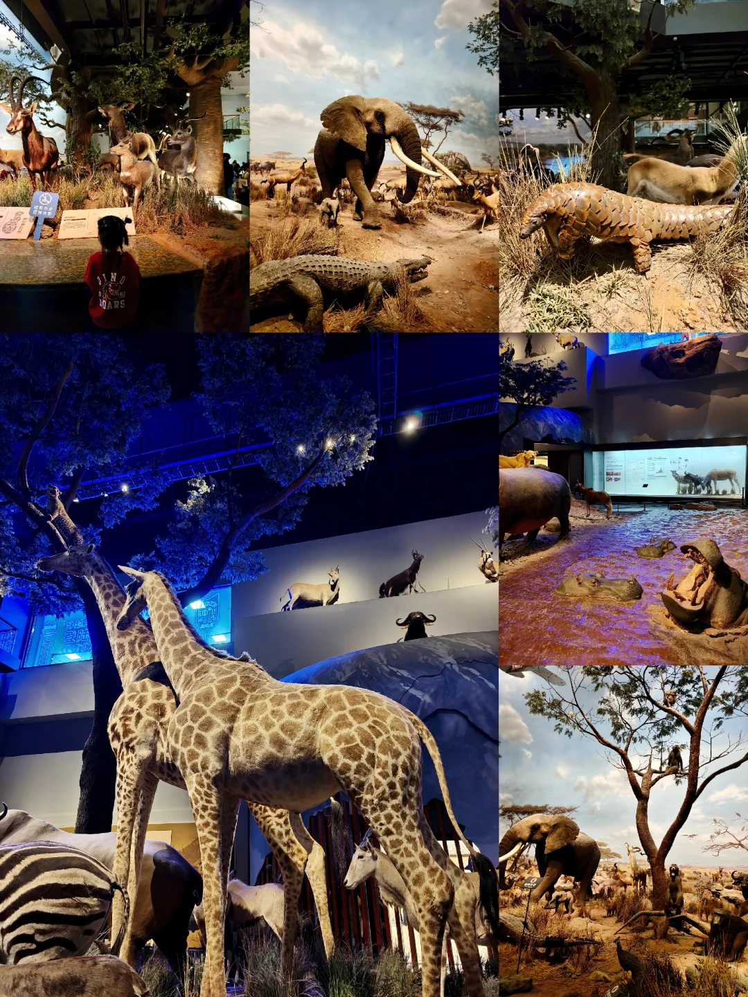 冒雨去山博,果然没白去!内容丰富好好逛!