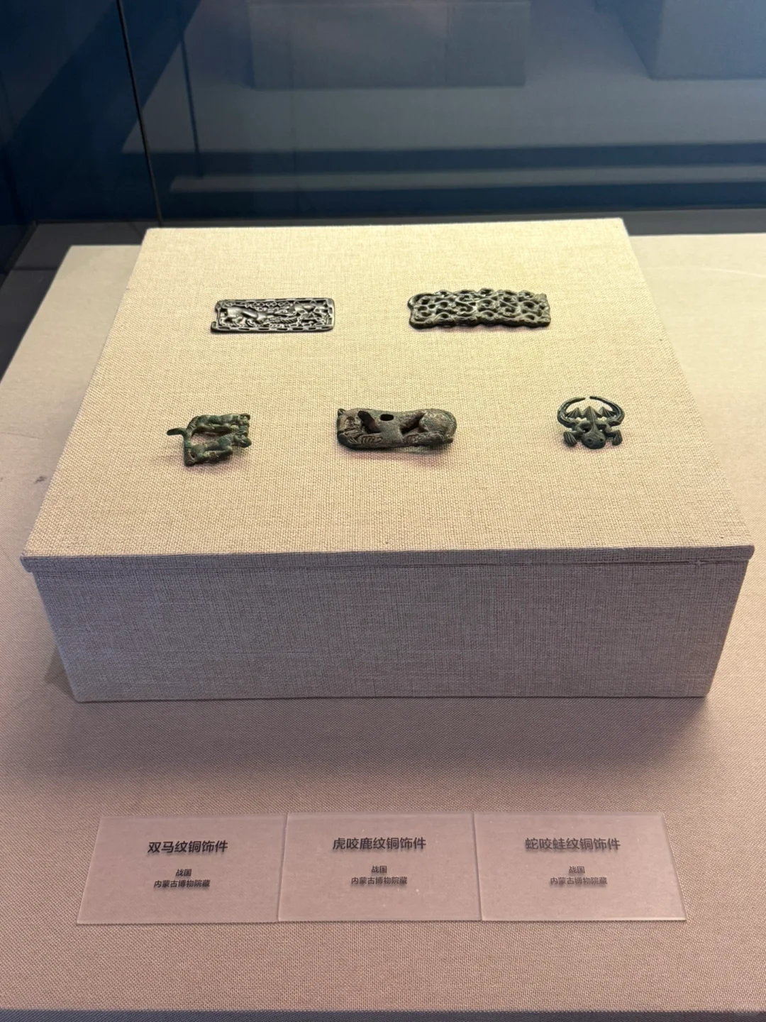 博物馆陪同口译