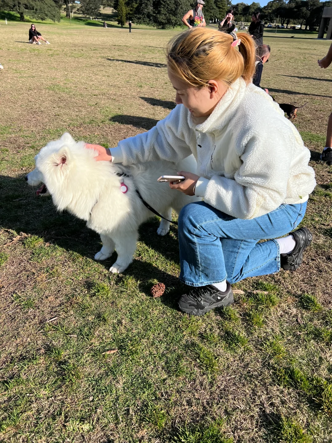 澳洲展会篇| 展前准备