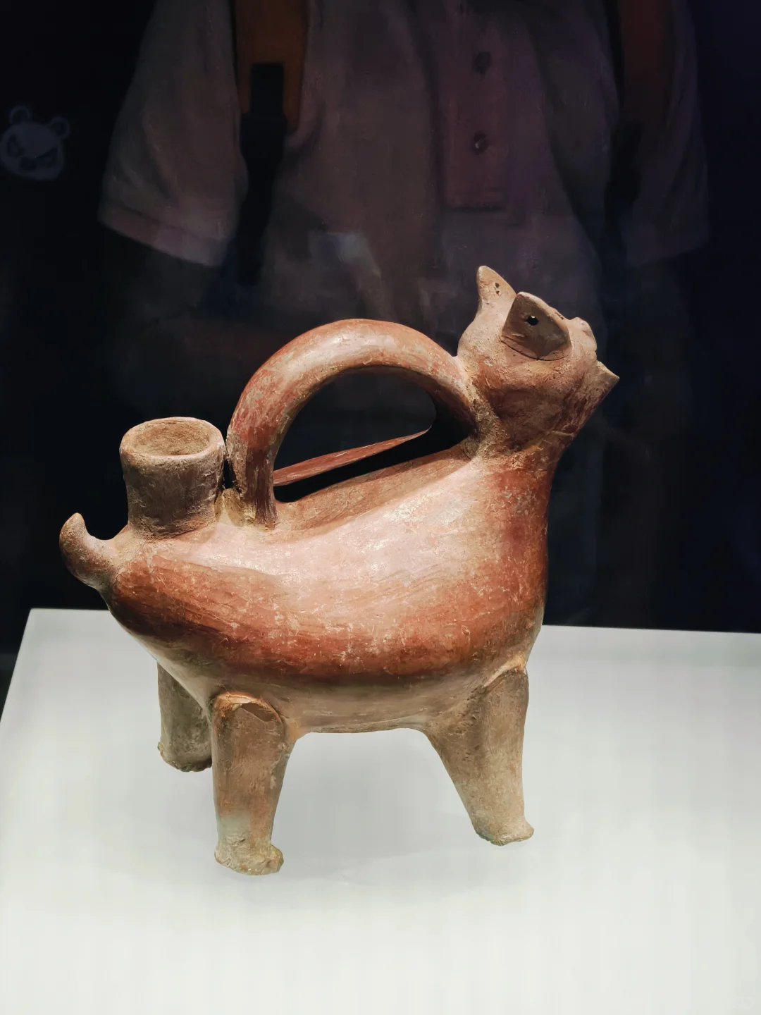 冒雨去山博,果然没白去!内容丰富好好逛!