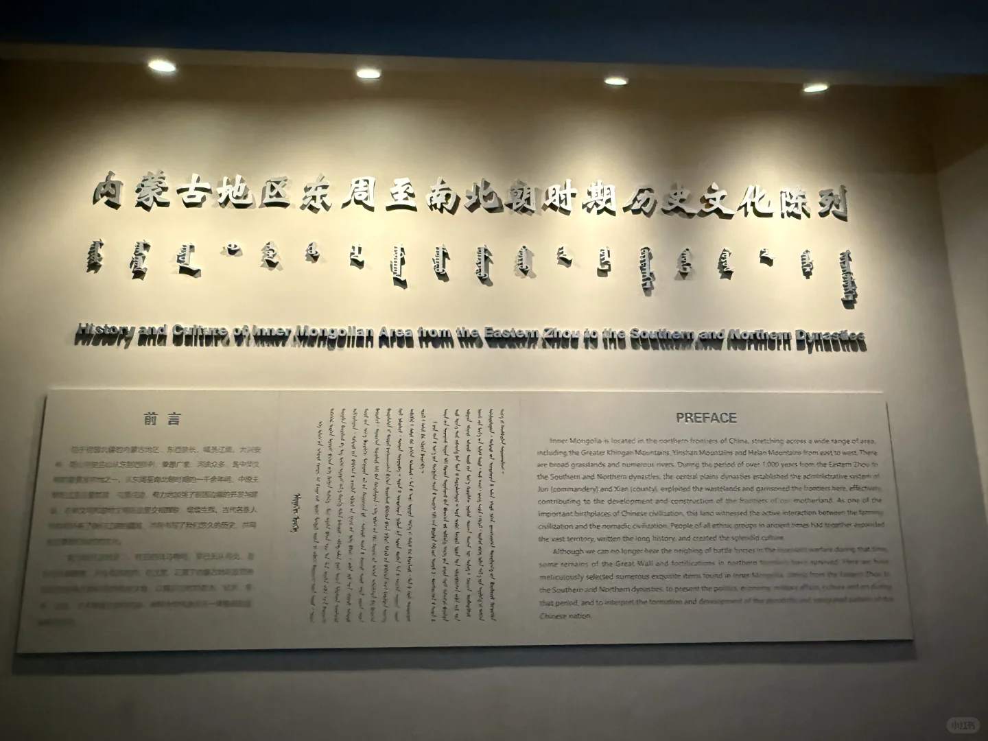 博物馆陪同口译