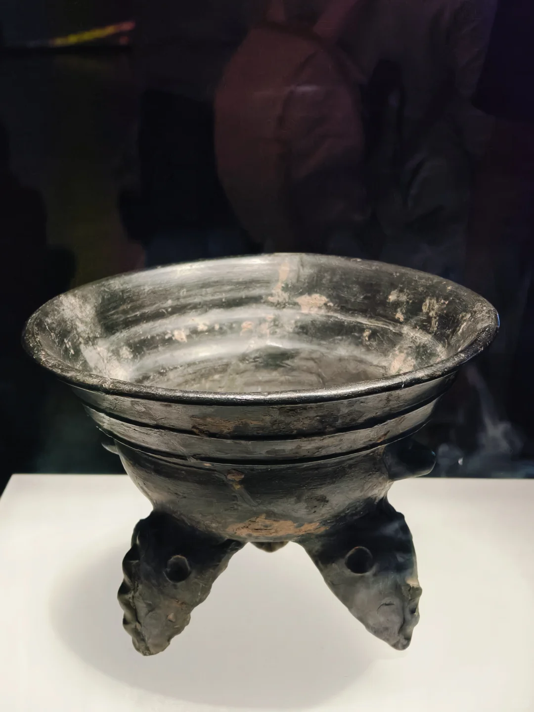 冒雨去山博,果然没白去!内容丰富好好逛!