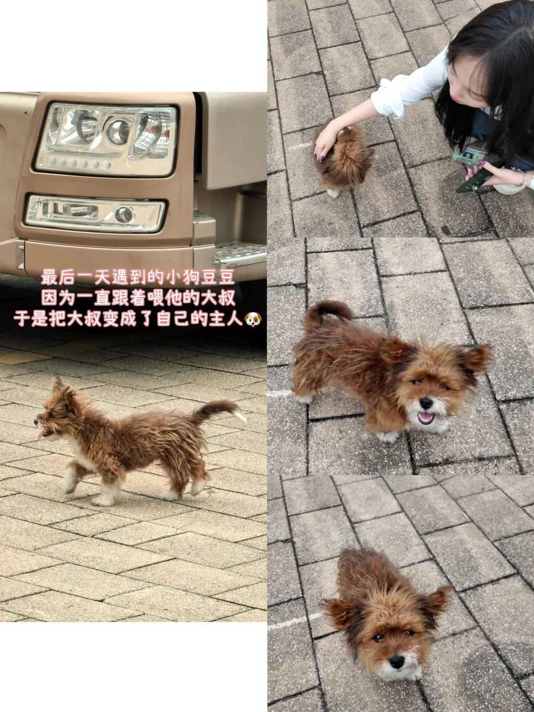 05英专生勇闯广交会