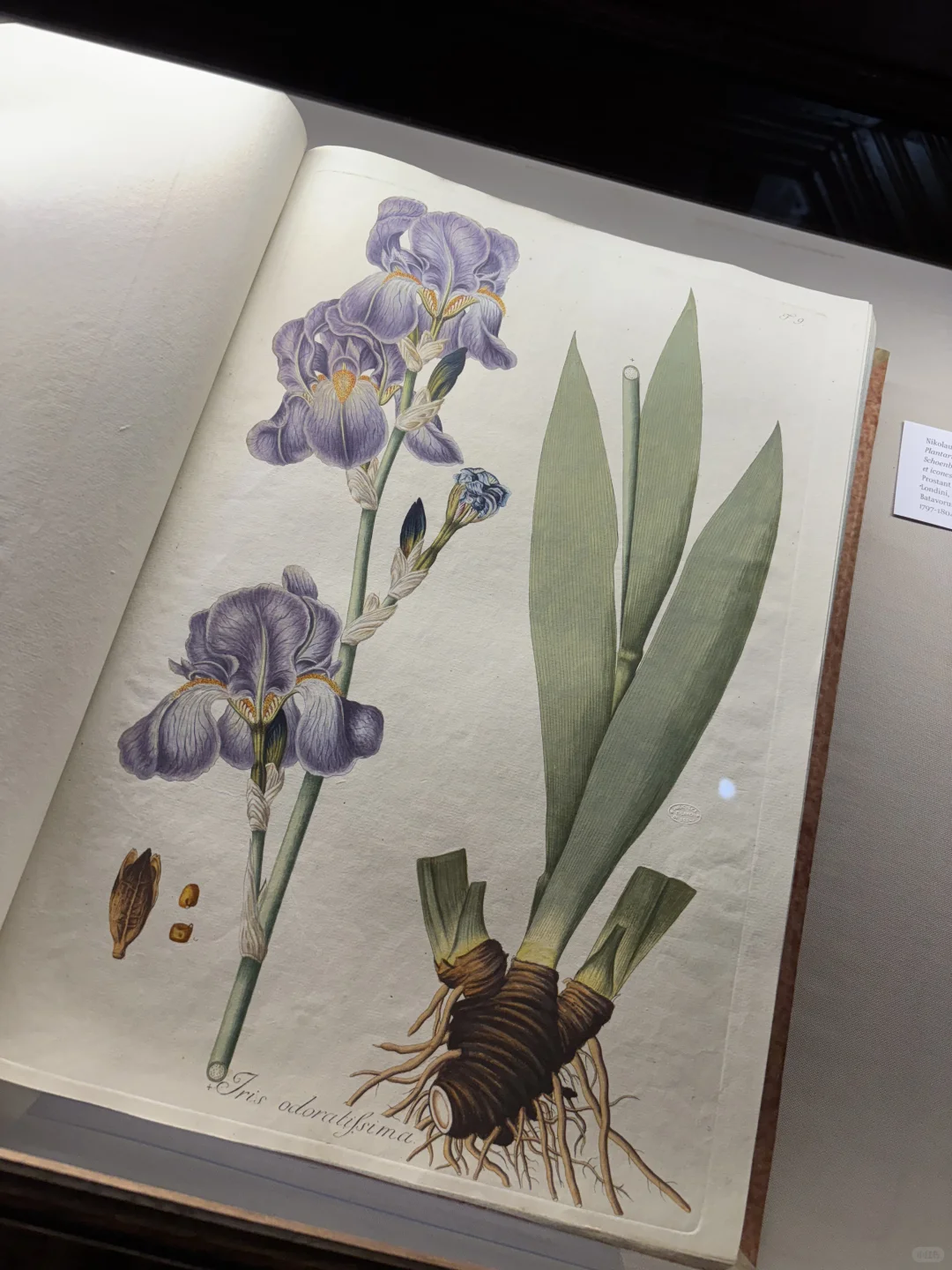 Giada 2025FW静态展，好美好适合