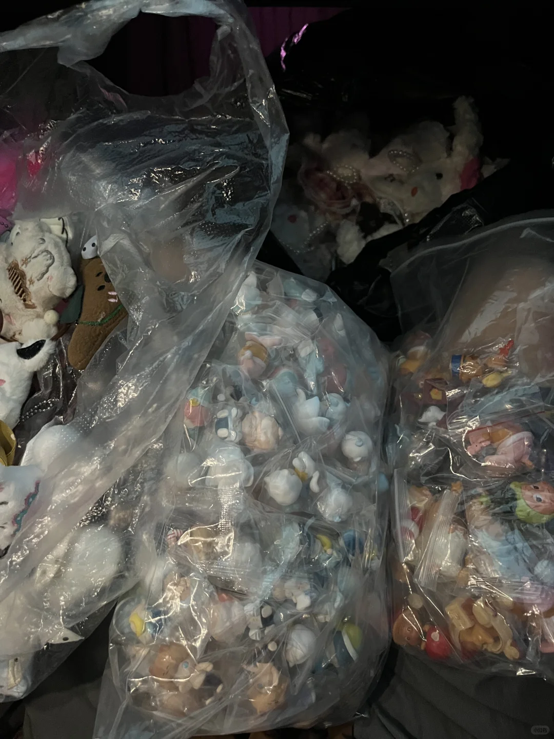 挖槽-找到了!义乌泡泡玛特萌粒拿货全攻略!