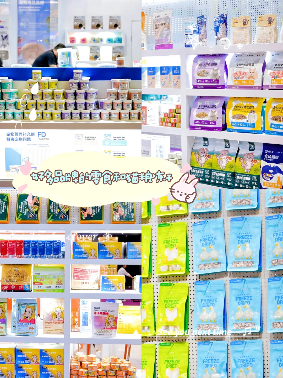 杭州铲屎官必冲!华东宠物展攻略&免费领票