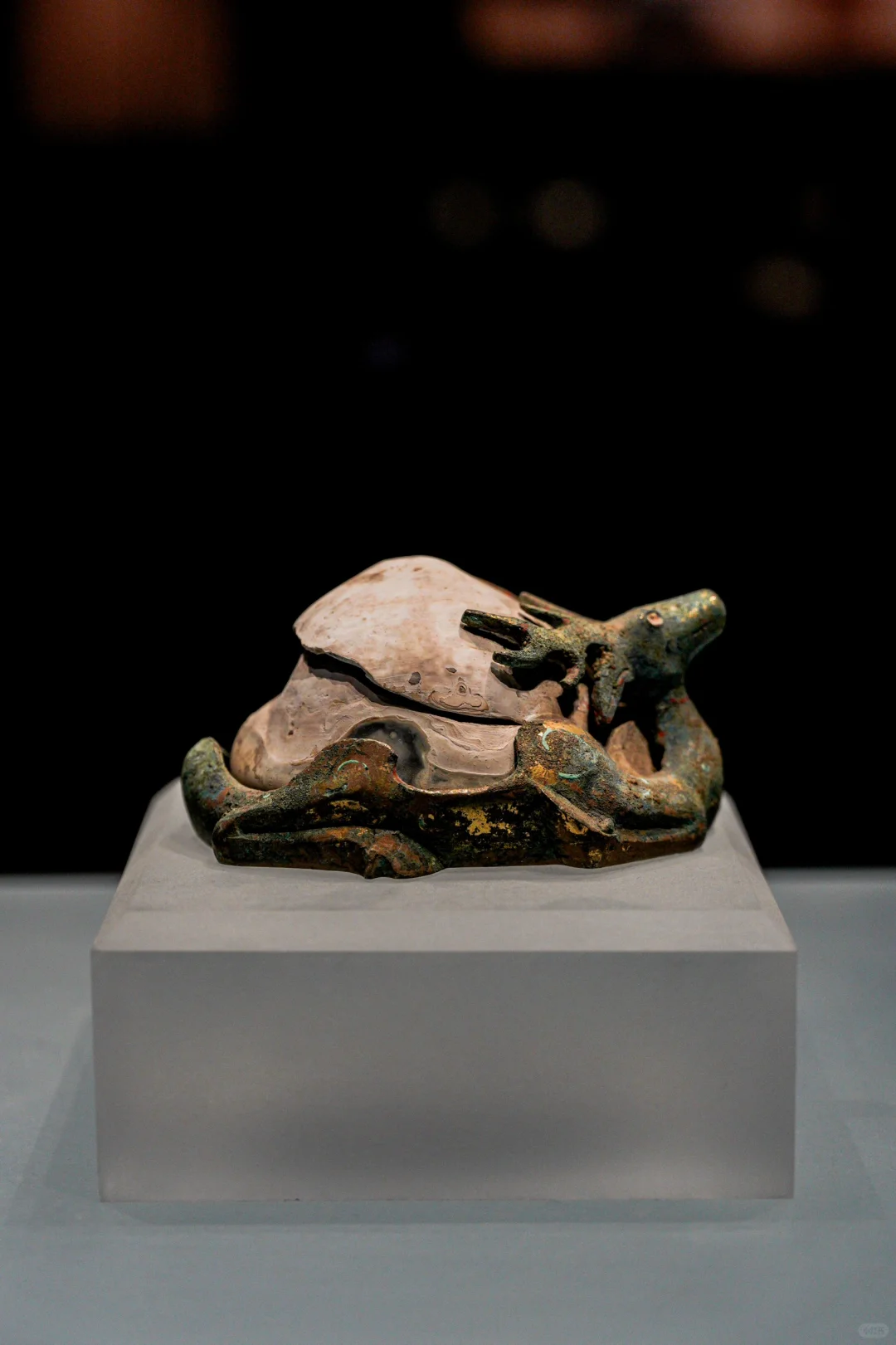 这些是镇馆之宝不容错过|呼市内蒙古博物院