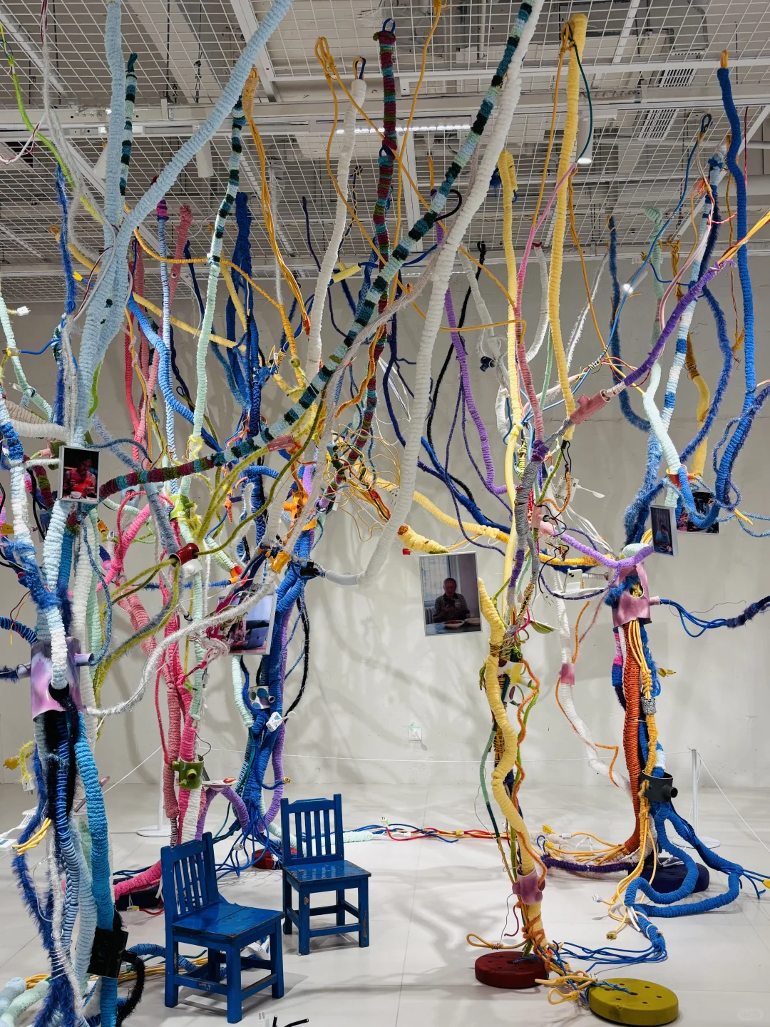 牛马的合影啦（重生之我在上海免费看展）