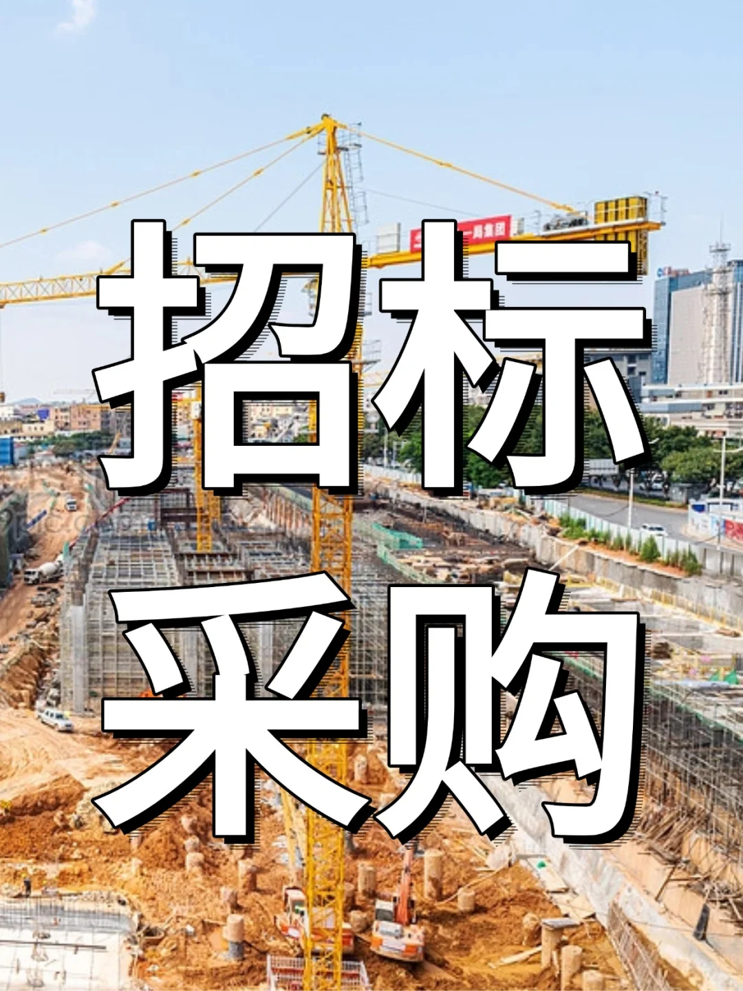 来了，10月最新采购信息